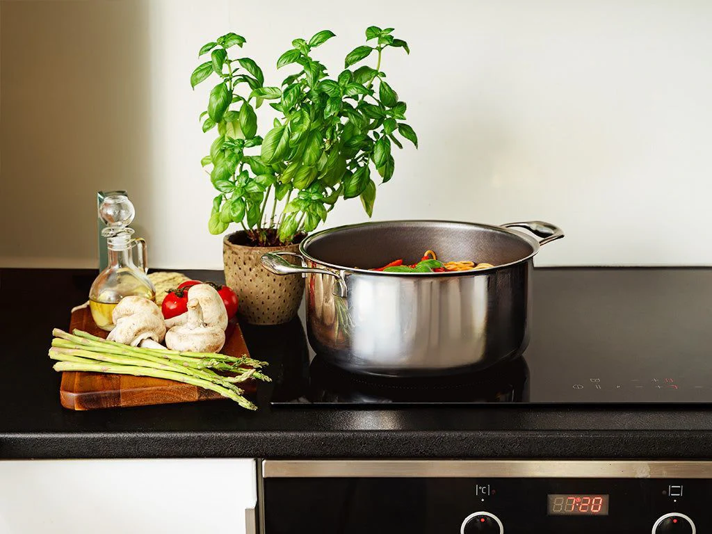 HPO-POT-24-KC_FBA - Image 3